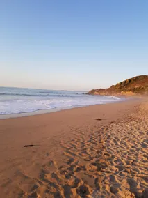 TY KERLUZ - Vue Mer et Plage à 80m - Image 4