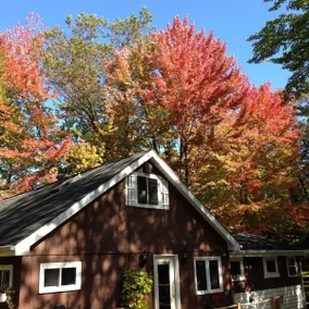 Lambeau Field Cabin - Image 3