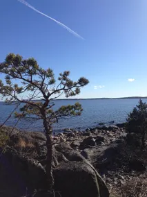 Vita Huset Göksnåre by Hållnäs peninsula. Coastal - Image 4