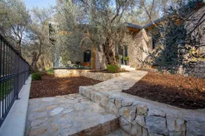 House in a romantic Olive Grove - Image 5