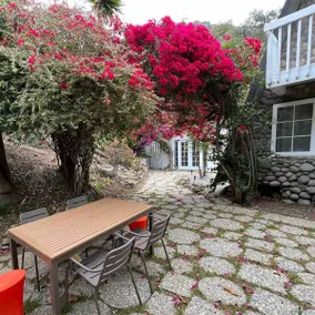 Malibu Mountain Cottage near the Beach! - Image 4
