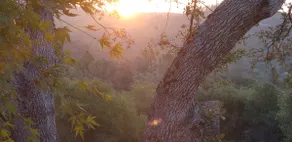 Guest House Mountain Retreat - Image 2