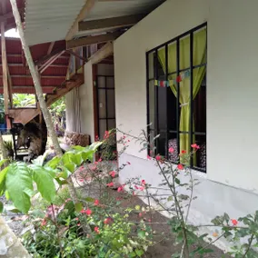 Beachfront Home, Pilon de Pavones! - Image 3
