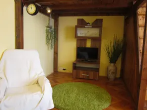 Harmonic Downtown Shelter with Corner Bathtub / AC - Image 3