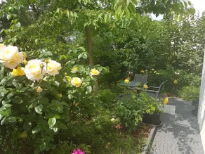 Centrally located in the countryside with garden - Image 2
