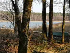 Dom Lodge for 8 at Lake, Masuria, Warchaly - Image 4