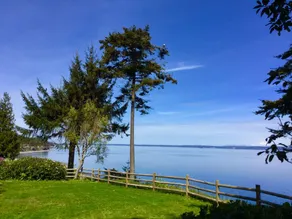 Waterfront Island Retreat in Paradise - Image 3