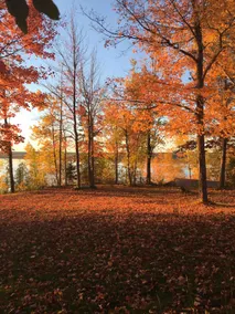 Private Beach Haven with Large Lakehouse - Image 4