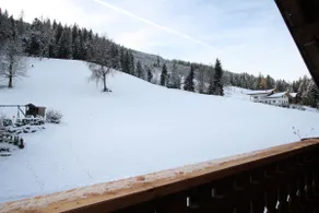 Spacious Mansion near Ski Area in Salzburg - Image 5