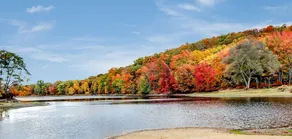 You will love RJ'S Place FREE WI-FI and Cable TV - Image 2