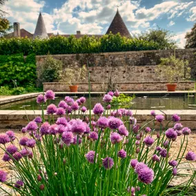 House with a private hot tub and medieval garden - Image 2
