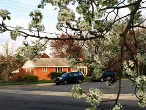 Modern 3BR/2BA.Free Parking.Comfort & Convenience! - Image 4
