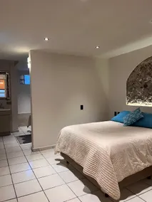Apartment near Puebla Convention Center - Image 2