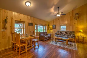 Cabin by the River: Visited by Treehouse Masters! - Image 3