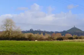 Thorneycroft cottage on the Somerset Levels - Image 2
