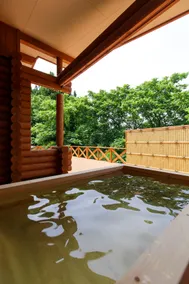 Private Natural Hot Spring Log House Retreat - Image 2