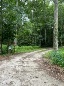 Jacaru Hideaway Nature Lovers Retreat - Image 4
