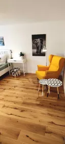 Modern-cozy apartment, brand new, in Neuenheim - Image 2