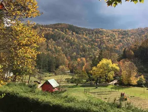 Petting Zoo & Pickleball? Hot Tub & Trout River! - Image 4