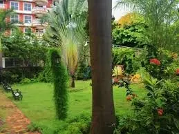 Luxury Apt near Palolem Beach, WFH with Forest view - Image 5