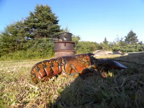 Oceanfront cottage - Image 4