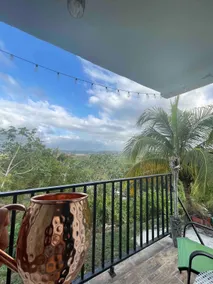 Valley View, hillside gem full apt w/kitchen#1 - Image 5