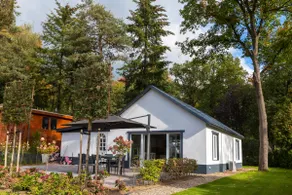 Detached holiday home in a wooded area - Image 2