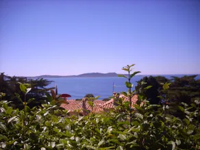 180° sea view apartment, ground floor, VAR - Image 4