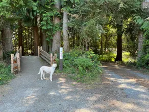 The Red House in Shawnigan lake BC - Image 5