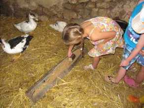 45 minutes from Beauval Zoo, surrounded by nature! - Image 2