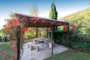 The Tuscany of the Tuscans, isolated and green - Image 4