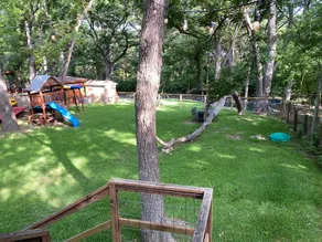 Cypress Creek Cabin - 10 Minute Walk to Square! - Image 5