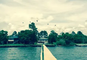 Mimosa on Mobile Bay - Image 2