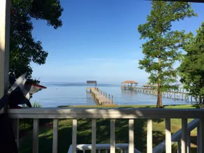 Mimosa on Mobile Bay - Image 3
