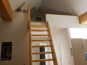 Sleep under a stork's nest - Image 2
