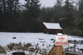 Cabin In The Wildwood - Image 2