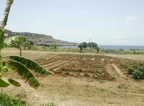 Venetia's Garden - Image 3