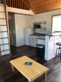 Tomichi Creek Resort Cabin - Image 4