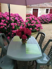 Gîte 4 étoiles Les Iris - Image 3