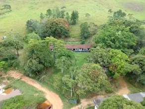 House on the farm, in São José do Barreiro/SP. - Image 4
