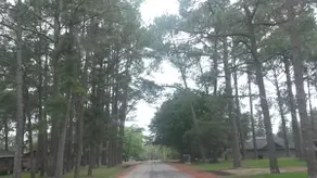 Large wooded yard near Texas A&M - Image 2