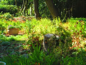 The Old Kitchens - Image 5