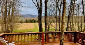 Elk Mountain Ski Area; Rustic Cabin on 15 Acres - Image 3
