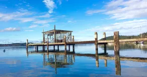 SALTWATER LOVE ! - Image 2