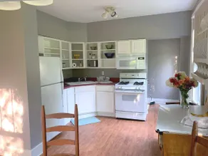 Cozy Cottage Oasis in Charming Grand Detour - Image 4