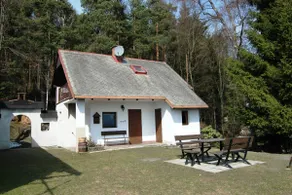 Chalet in Malá Skála near Ski Slopes - Image 4