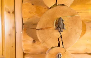 Log Gottage - Image 5