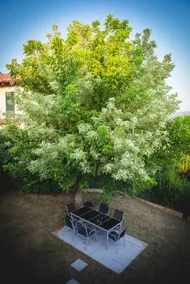 Relax in Alba and in the heart of the Unesco hills - Image 4