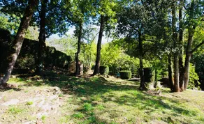 Charming newly renovated house with heated pool in Beynac - Image 5
