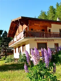 Chalet Sapin Bleu - Best Skiing & Outdoor - Image 2